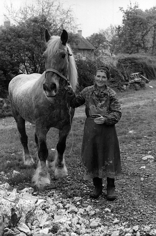 Louise et son cheval